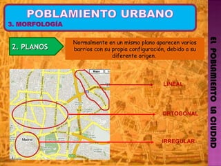 EL  POBLAMIENTO  LA CIUDAD 2. PLANOS  Normalmente en un mismo plano aparecen varios barrios con su propia configuración, debido a su diferente origen.  LINEAL ORTOGONAL IRREGULAR 