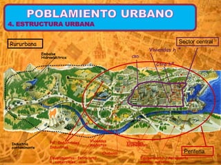 Sector central Viviendas h ª Ctro hº CBD Periferia  Pol. Industriales Industrias Viviendas acomodadas Viviendas modestas Equipamientos. Aeropuerto, puerto, autovías Equipamientos: ferrocarril, a. comerciales, ocio Chabolas  Industria contaminante Rururbana Embalse Hidroeléctrica 