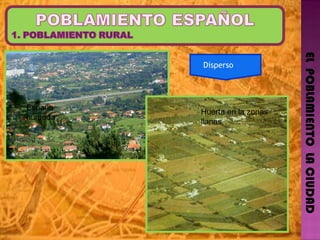 EL  POBLAMIENTO  LA CIUDAD Huerta en la zonas llanas  España húmeda Disperso  