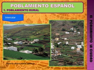EL  POBLAMIENTO  LA CIUDAD Huerta abancalada canaria Intercalar  