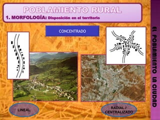 EL  POBLAMIENTO  LA CIUDAD CONCENTRADO LINEAL RADIAL /  CENTRALIZADO 