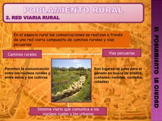 EL  POBLAMIENTO  LA CIUDAD En el espacio rural las comunicaciones se realizan a través de una red viaria compuesta de caminos rurales y vías pecuarias Caminos rurales Vías pecuarias Permiten la comunicación entre los núcleos rurales y entre estos y los cultivos Son lugares de paso para el  ganado en busca de prados  (cañadas, veredas, cordeles, coladas) Sistema viario que comunica a los núcleos ruales y los urbanos 