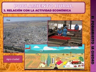EL  POBLAMIENTO  LA CIUDAD Agro-ciudad Écija 