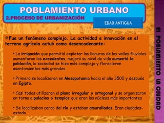 EL  POBLAMIENTO  LA CIUDAD EDAD ANTIGUA Fue un fenómeno complejo. La actividad e innovación en el terreno agrícola actuó como desencadenante: La  irrigación  que permitió explotar las llanuras de los valles fluviales aumentaron los  excedentes , mejoró su nivel de vida  aumentó la población , la sociedad se hizo más compleja y florecieron asentamientos más grandes. Primero se localizaron en  Mesopotamia  hacia el año 3500 y después en  Egipto .  Casi todas utilizaron el  plano irregular y ortogonal  y se organizaron en torno a  palacios o templos  que eran los núcleos más importantes Se localizaban cerca del  río  y estaban  amuralladas . Eran ciudades-estado 