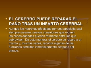    EL CEREBRO PUEDE REPARAR EL
    DAÑO TRAS UN INFARTO CEREBRAL
   Aunque las neuronas afectadas por una apoplejía casi
    siempre mueren, nuevas conexiones que rodeen
    las zonas dañadas pueden formarse entre las que
    sobreviven. De esta manera, el cerebro se repara a sí
    mismo y, muchas veces, recobra algunas de las
    funciones perdidas inmediatamente después del
    ataque.
 
