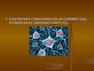    EXISTEN MÁS CONEXIONES EN UN CEREBRO QUE
    ÁTOMOS EN EL UNIVERSO CONOCIDO
 