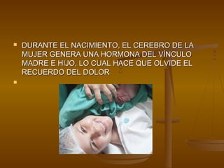    DURANTE EL NACIMIENTO, EL CEREBRO DE LA
    MUJER GENERA UNA HORMONA DEL VÍNCULO
    MADRE E HIJO, LO CUAL HACE QUE OLVIDE EL
    RECUERDO DEL DOLOR

 