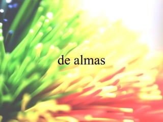 de almas

 
