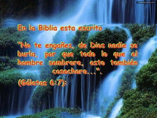 En la Biblia esta escrito 
“No te engañes, de Dios nadie se 
burla, por que todo lo que el 
hombre sembrare, esto también 
cosechara...". 
(Gálatas 6:7): 
 