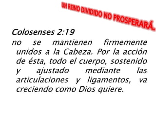 Jesucristo es el punto central de la Unidad: Nosotros en El y El en el Padre.