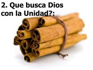 2. Que busca Dios con la Unidad?: