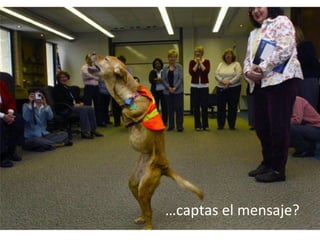 … captas el mensaje? 