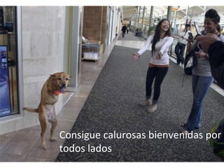 Consigue calurosas bienvenidas por todos lados 