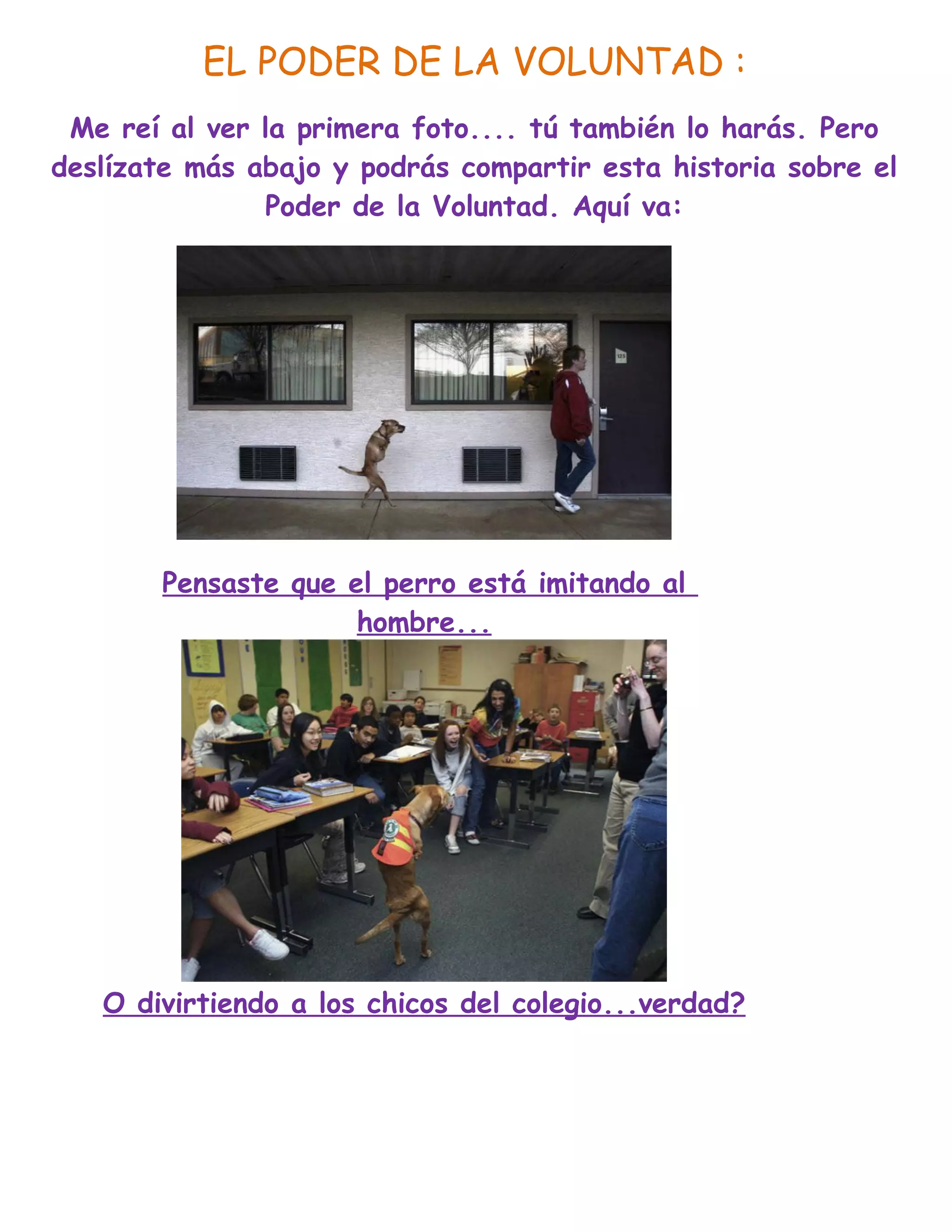 EL PODER DE LA VOLUNTAD :
Me reí al ver la primera foto.... tú también lo harás. Pero
deslízate más abajo y podrás compartir esta historia sobre el
Poder de la Voluntad. Aquí va:
Pensaste que el perro está imitando al
hombre...
O divirtiendo a los chicos del colegio...verdad?