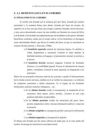 EL PODER DEL COLOR. LA INFLUENCIA DE LOS COLORES EN LOS CONSUMIDORES
5. LA RESPUESTA ESTA EN EL CEREBRO
5.1 INDAGANDO EN EL CEREBRO
El cerebro está formado por la sustancia gris (por fuera, formada por cuerpos
neuronales) y la sustancia blanca (por dentro, formada por haces de axones). Su
superficie no es lisa, sino que tienes unas arrugas o salientes llamadas circunvoluciones;
y unos surcos denominados cisuras, las más notables son llamados las cisuras de Silvio
y de Rolando. Está dividido incompletamente por una hendidura en dos partes, llamados
hemisferios cerebrales, unidos por el cuerpo calloso. En los hemisferios se distinguen
zonas denominadas lóbulos, que llevan el nombre del hueso en que se encuentran en
contacto (frontal, parietal...). Pesa unos 1.200gr.
El hemisferio izquierdo controla las funciones lógicas. Es analítico y
verbal, fragmentario y secuencial. Controla la mano derecha, la
habilidad numérica, el lenguaje y el pensamiento racional, la escritura y
la lectura.
El hemisferio derecho reconoce imágenes. Controla las facultades
artísticas y la sensibilidad espacial. Procesa la información de manera
global y simultánea. Controla la mano izquierda, la imaginación y las
emociones.
Dentro de sus principales funciones están las de controlar y regular el funcionamiento
de los demás centros nerviosos, también en él se reciben las sensaciones y se elaboran
las respuestas conscientes a dichas situaciones. Es el órgano de las facultades
intelectuales: atención, memoria, inteligencia ... etc.
En los lóbulos frontales reside el razonamiento, la modulación de las
emociones, hacer planes, juicios morales... Lesiones en esta zona
producen individuos irresponsables.
En los lóbulos parietales residen las sensaciones del gusto, tacto,
presión, temperatura y dolor. Asocian información auditiva y visual con
la memoria.
Los lóbulos occipitales se encargan de percibir y procesar la información
visual.
Los lóbulos temporales se encargan de la audición.
El tálamo está formado por dos masas esféricas de tejido gris, en la zona media del
cerebro. Se encarga de sincronizar la actividad cortical.
 