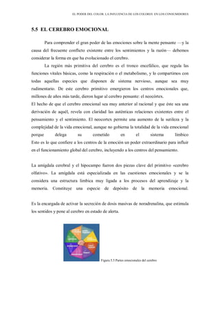 EL PODER DEL COLOR. LA INFLUENCIA DE LOS COLORES EN LOS CONSUMIDORES
5.5 EL CEREBRO EMOCIONAL
Para comprender el gran poder de las emociones sobre la mente pensante —y la
causa del frecuente conflicto existente entre los sentimientos y la razón— debemos
considerar la forma en que ha evolucionado el cerebro.
La región más primitiva del cerebro es el tronco encefálico, que regula las
funciones vitales básicas, como la respiración o el metabolismo, y lo compartimos con
todas aquellas especies que disponen de sistema nervioso, aunque sea muy
rudimentario. De este cerebro primitivo emergieron los centros emocionales que,
millones de años más tarde, dieron lugar al cerebro pensante: el neocórtex.
El hecho de que el cerebro emocional sea muy anterior al racional y que éste sea una
derivación de aquél, revela con claridad las auténticas relaciones existentes entre el
pensamiento y el sentimiento. El neocortex permite una aumento de la sutileza y la
complejidad de la vida emocional, aunque no gobierna la totalidad de la vida emocional
porque delega su cometido en el sistema límbico
Esto es lo que confiere a los centros de la emoción un poder extraordinario para influir
en el funcionamiento global del cerebro, incluyendo a los centros del pensamiento.
La amígdala cerebral y el hipocampo fueron dos piezas clave del primitivo «cerebro
olfativo». La amígdala está especializada en las cuestiones emocionales y se la
considera una estructura limbica muy ligada a los procesos del aprendizaje y la
memoria. Constituye una especie de depósito de la memoria emocional.
Es la encargada de activar la secreción de dosis masivas de noradrenalina, que estimula
los sentidos y pone al cerebro en estado de alerta.
Figura 5.5 Partes emocionales del cerebro
 