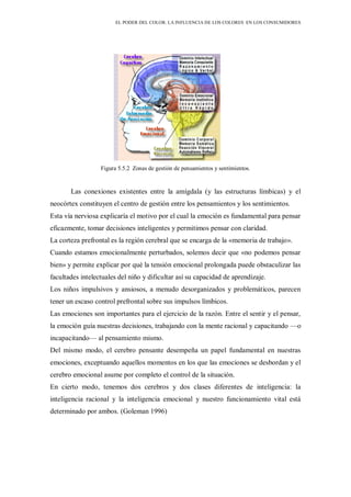 EL PODER DEL COLOR. LA INFLUENCIA DE LOS COLORES EN LOS CONSUMIDORES
Figura 5.5.2 Zonas de gestión de pensamientos y sentimientos.
Las conexiones existentes entre la amígdala (y las estructuras límbicas) y el
neocórtex constituyen el centro de gestión entre los pensamientos y los sentimientos.
Esta vía nerviosa explicaría el motivo por el cual la emoción es fundamental para pensar
eficazmente, tomar decisiones inteligentes y permitimos pensar con claridad.
La corteza prefrontal es la región cerebral que se encarga de la «memoria de trabajo».
Cuando estamos emocionalmente perturbados, solemos decir que «no podemos pensar
bien» y permite explicar por qué la tensión emocional prolongada puede obstaculizar las
facultades intelectuales del niño y dificultar así su capacidad de aprendizaje.
Los niños impulsivos y ansiosos, a menudo desorganizados y problemáticos, parecen
tener un escaso control prefrontal sobre sus impulsos límbicos.
Las emociones son importantes para el ejercicio de la razón. Entre el sentir y el pensar,
la emoción guía nuestras decisiones, trabajando con la mente racional y capacitando —o
incapacitando— al pensamiento mismo.
Del mismo modo, el cerebro pensante desempeña un papel fundamental en nuestras
emociones, exceptuando aquellos momentos en los que las emociones se desbordan y el
cerebro emocional asume por completo el control de la situación.
En cierto modo, tenemos dos cerebros y dos clases diferentes de inteligencia: la
inteligencia racional y la inteligencia emocional y nuestro funcionamiento vital está
determinado por ambos. (Goleman 1996)
 