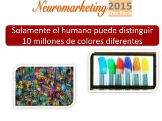 Solamente el humano puede distinguir
10 millones de colores diferentes
 