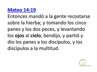 Mateo 14:19
Entonces mandó a la gente recostarse
sobre la hierba; y tomando los cinco
panes y los dos peces, y levantando
los ojos al cielo, bendijo, y partió y
dio los panes a los discípulos, y los
discípulos a la multitud.
 