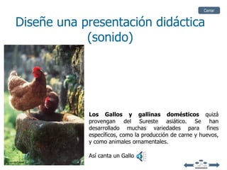 Cerrar


         Diseñe una presentación didáctica
                     (sonido)




                     Los Gallos y gallinas domésticos quizá
                     provengan del Sureste asiático. Se han
                     desarrollado muchas variedades para fines
                     específicos, como la producción de carne y huevos,
                     y como animales ornamentales.

                     Así canta un Gallo
Tomado de Encarta
 