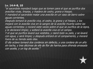 Lv. 14:4-8, 10
“el sacerdote mandará luego que se tomen para el que se purifica dos
avecillas vivas, limpias, y madera de cedro, grana e hisopo.
Y mandará el sacerdote matar una avecilla en un vaso de barro sobre
aguas corrientes.
Después tomará la avecilla viva, el cedro, la grana y el hisopo, y los
mojará con la avecilla viva en la sangre de la avecilla muerta sobre las
aguas corrientes; y rociará siete veces sobre el que se purifica de la lepra,
y le declarará limpio; y soltará la avecilla viva en el campo.
Y el que se purifica lavará sus vestidos, y raerá todo su pelo, y se lavará
con agua, y será limpio; y después entrará en el campamento, y morará
fuera de su tienda siete días.
El día octavo tomará dos corderos sin defecto, y una cordera de un año
sin tacha, y tres décimas de efa de flor de harina para ofrenda amasada
con aceite, y un log de aceite.”
 