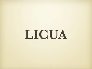 LICUA
 