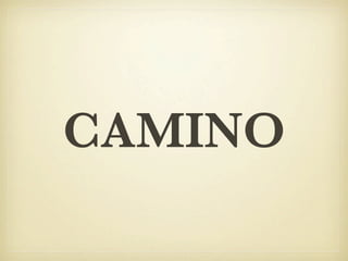 CAMINO
 