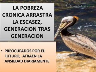 LA POBREZA
CRONICA ARRASTRA
LA ESCASEZ,
GENERACION TRAS
GENERACION
• PREOCUPADOS POR EL
FUTURO, ATRAEN LA
ANSIEDAD DIARIAMENTE
 