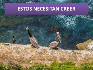 ESTOS NECESITAN CREER
 