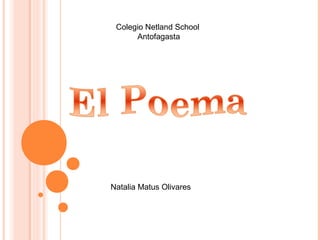 Colegio Netland School
Antofagasta
Natalia Matus Olivares
 