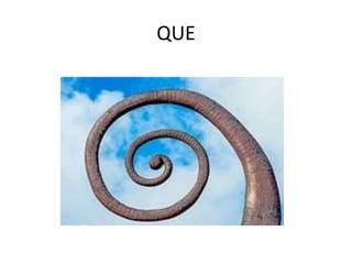 QUE 
 