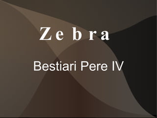 Zebra Bestiari Pere IV 
