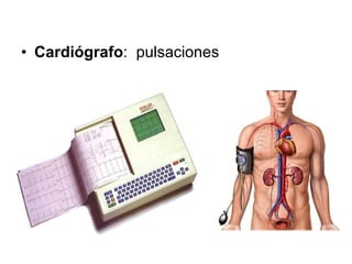 Cardiógrafo :  pulsaciones  