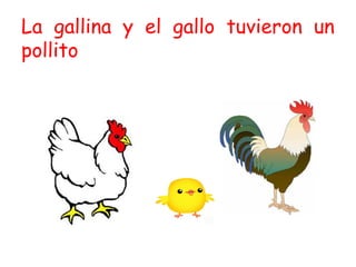 La gallina y el gallo tuvieron un
pollito
 