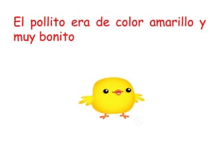 El pollito era de color amarillo y
muy bonito
 