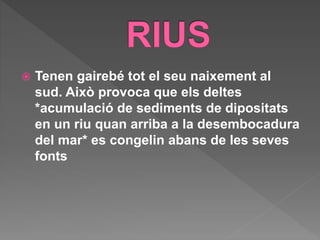  Tenen gairebé tot el seu naixement al
sud. Això provoca que els deltes
*acumulació de sediments de dipositats
en un riu quan arriba a la desembocadura
del mar* es congelin abans de les seves
fonts
 