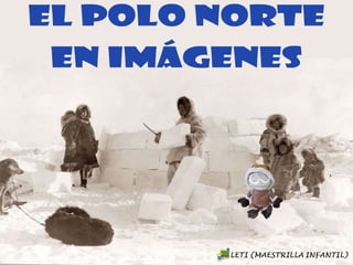 El Polo Norte En Imágenes