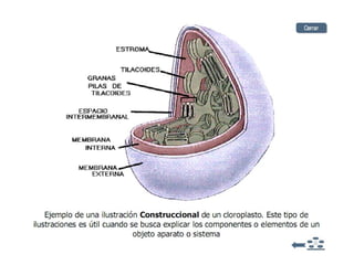 El porder de lo visual