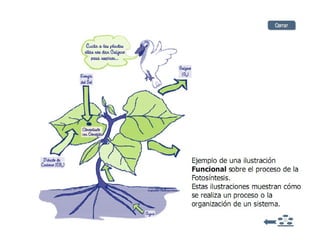 El porder de lo visual