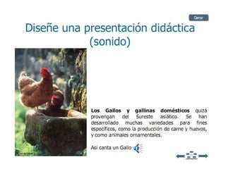 El porder de lo visual