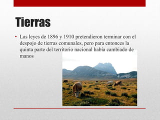 Tierras
• Las leyes de 1896 y 1910 pretendieron terminar con el
despojo de tierras comunales, pero para entonces la
quinta parte del territorio nacional había cambiado de
manos
 