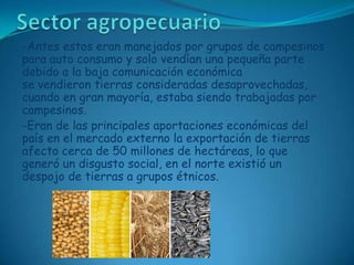 Sector agropecuario-Antes estos eran manejados por grupos de campesinos para auto consumo y solo vendían una pequeña parte debido a la baja comunicación económicase vendieron tierras consideradas desaprovechadas, cuando en gran mayoría, estaba siendo trabajadas por campesinos.-Eran de las principales aportaciones económicas del país en el mercado externo la exportación de tierras afecto cerca de 50 millones de hectáreas, lo que generó un disgusto social, en el norte existió un despojo de tierras a grupos étnicos.