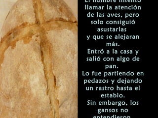 El hombre intentó
 llamar la atención
  de las aves, pero
   solo consiguió
      asustarlas
  y que se alejaran
         más.
  Entró a la casa y
  salió con algo de
         pan.
Lo fue partiendo en
pedazos y dejando
  un rastro hasta el
       establo.
  Sin embargo, los
      gansos no
 