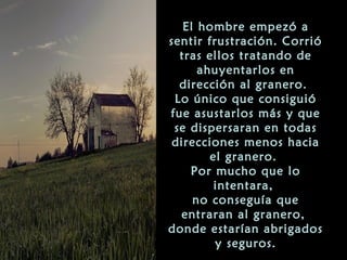 El hombre empezó a
sentir frustración. Corrió
  tras ellos tratando de
      ahuyentarlos en
  dirección al granero.
 Lo único que consiguió
fue asustarlos más y que
 se dispersaran en todas
 direcciones menos hacia
        el granero.
    Por mucho que lo
         intentara,
     no conseguía que
  entraran al granero,
donde estarían abrigados
         y seguros.
 