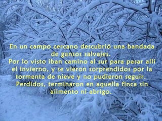 En un campo cercano descubrió una bandada
              de gansos salvajes.
Por lo visto iban camino al sur para pasar allí
 el invierno, y se vieron sorprendidos por la
  tormenta de nieve y no pudieron seguir.
  Perdidos, terminaron en aquella finca sin
              alimento ni abrigo.
 