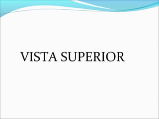 VISTA SUPERIOR
 