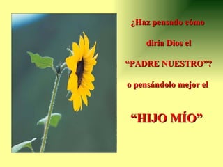 ¿Haz pensado cómo  diría Dios el “ PADRE NUESTRO”? o pensándolo mejor el  “ HIJO MÍO”     