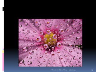 Mtro. Javier Gálvez Mora.   16/03/2013   13
 