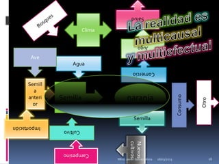 Salud

                          Clima

                                                Jugo

       Ave
                   Agua
                                            Comercio

      Semill
        a
                                        naranja




                                                                           Consumo
      anteri   Semilla




                                                                                     Otro
        or

                                             Semilla
Importación
                Cultivo                   cultivos
                                          Nuevos


                Campesino
                                  Mtro. Javier Gálvez Mora.   16/03/2013                    16
 