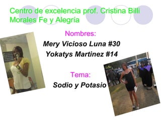 Centro de excelencia prof. Cristina Billi
Morales Fe y Alegría
                Nombres:
          Mery Vicioso Luna #30
          Yokatys Martinez #14

                  Tema:
             Sodio y Potasio
 